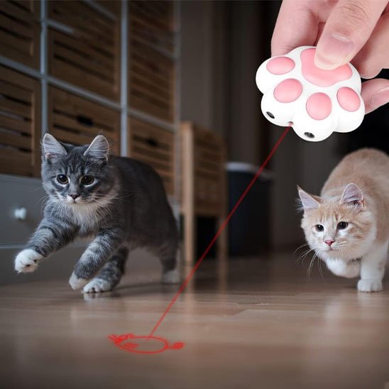 laser-pour-chat-patte-a-chat-amusant