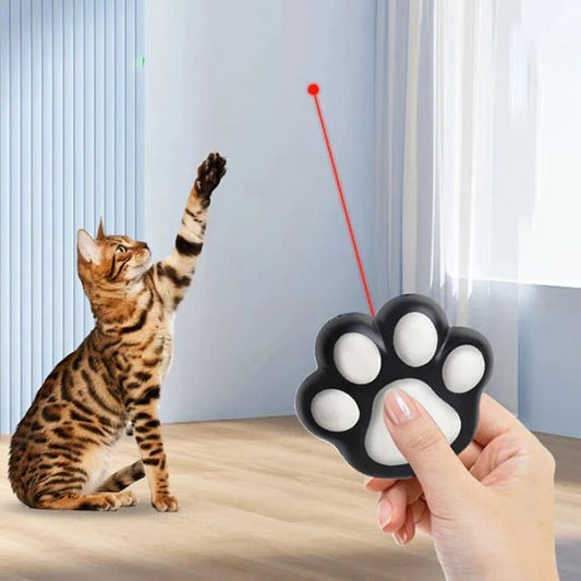 laser-pour-chat-patte-a-chat