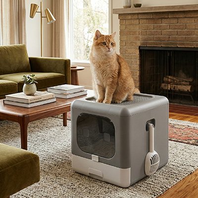 maison-de-toilette-pour-chat-anti-odeurs