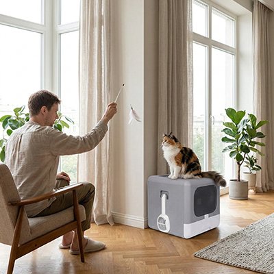 maison-de-toilette-pour-chat-esthétique