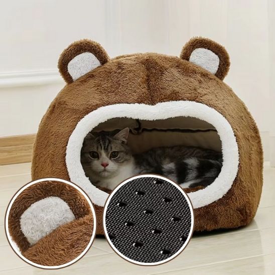 niche-chat-brune