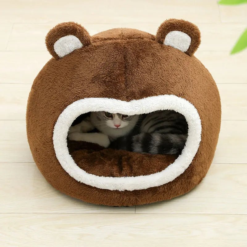 niche-chat-choco-doux