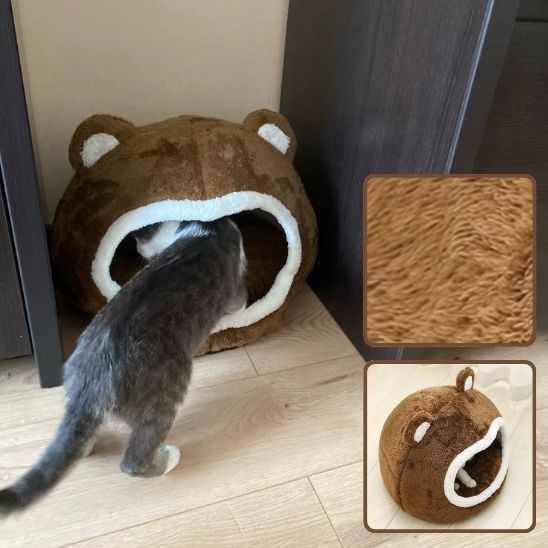 niche-chat-douce