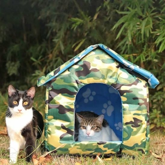 niche-chat-exterieur-verte