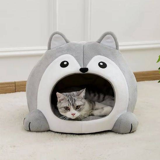 niche-chat-frimoussette-moderne