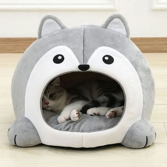 niche-chat-frimoussette