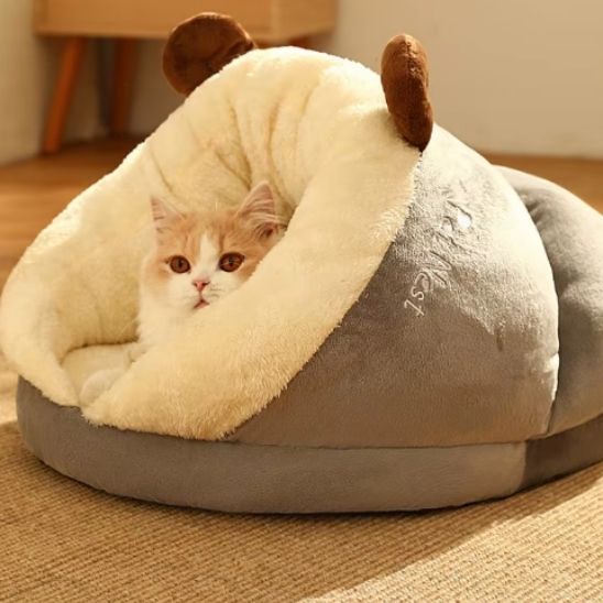 niche-chat-pantoufle-grise