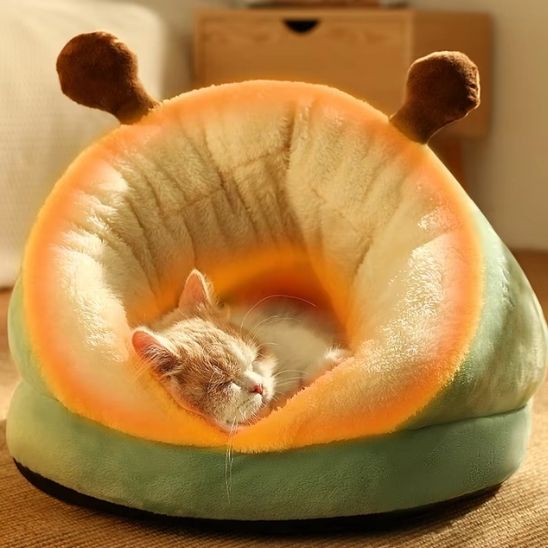 niche-chat-pantoufle-verte