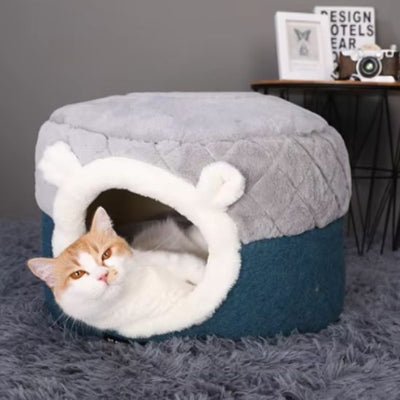 niche-pour-chat-casamiaou-refuge