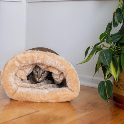 niche-pour-chat-miaoubag-abri