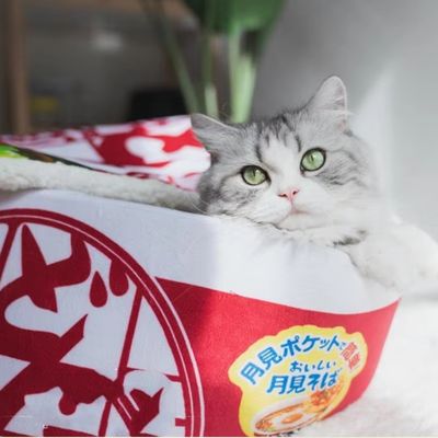 Niche pour chat | NoodleBox™ - Patte à Chat