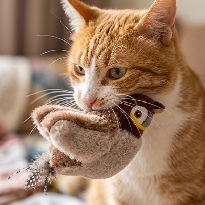 oiseau volant pour chat Canaille - vue principale