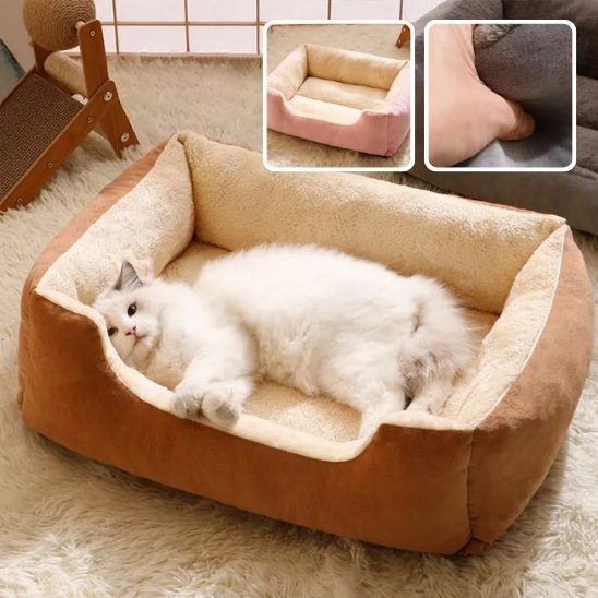 panier-chat-agreable