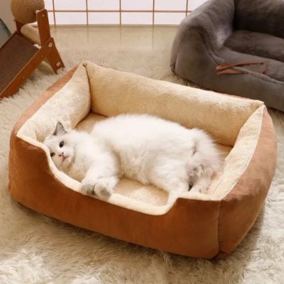 panier-chat-cafe