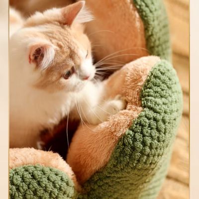 panier-chat-corolle-douillet