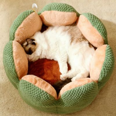 panier-chat-corolle-chaud