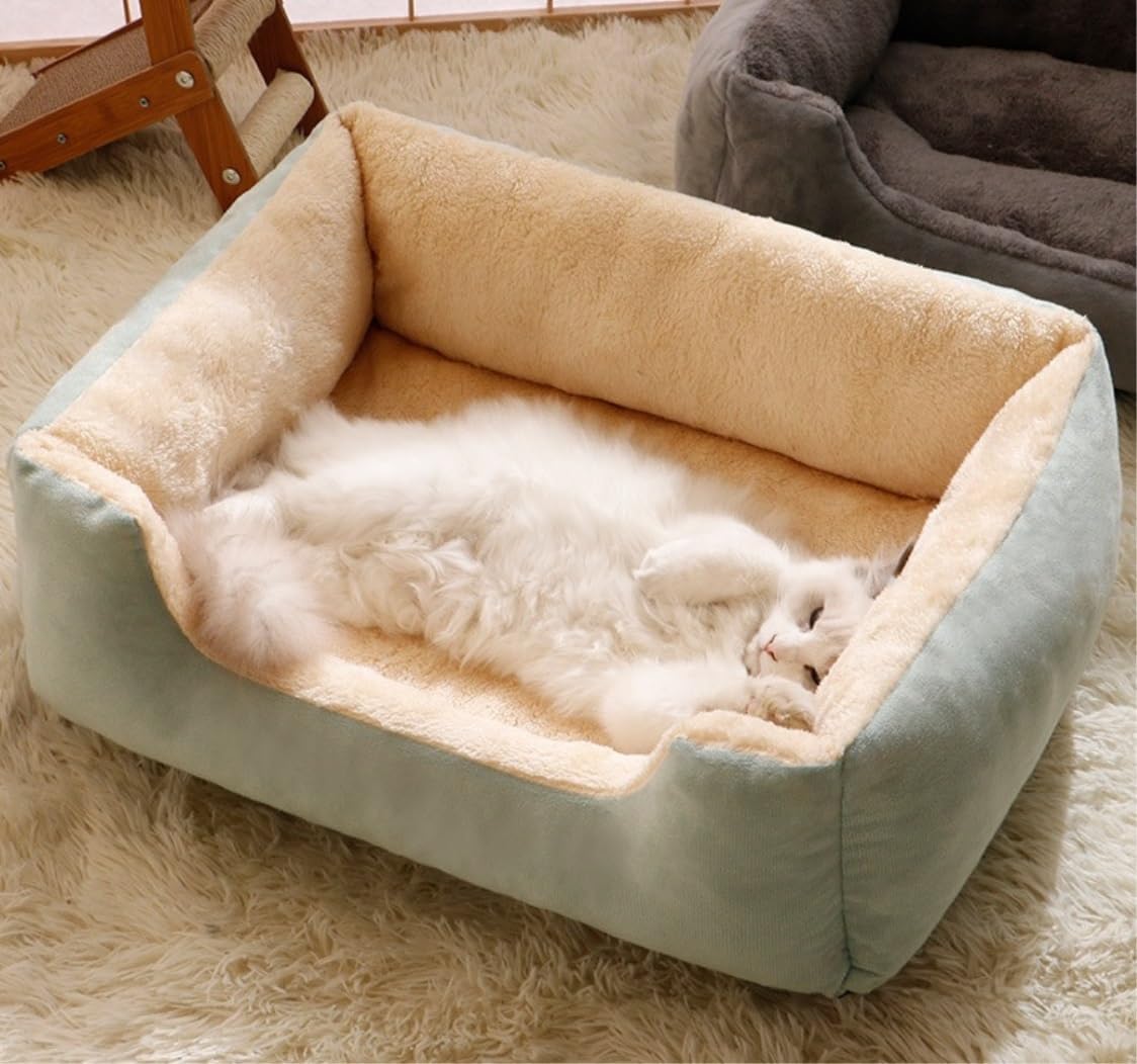panier-chat-vert