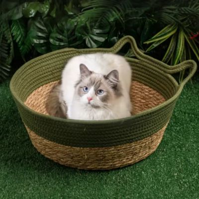 panier-en-osier-pour-chat-rotin-vert