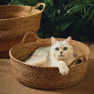 panier-en-osier-pour-chat-rotin