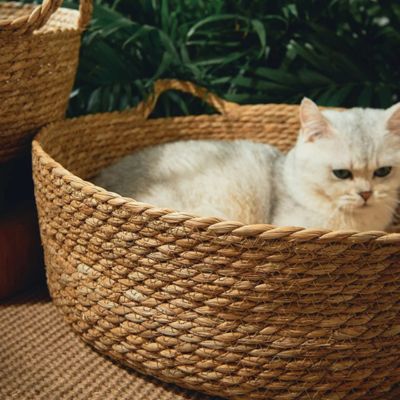 panier-en-osier-pour-chat-vegetale