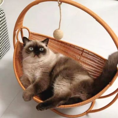 panier-en-rotin-pour-chat-cosyrotin-confortable