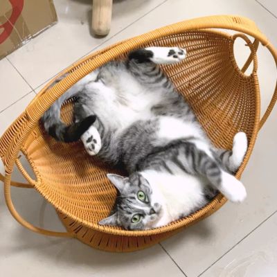 panier-en-rotin-pour-chat-respirant-cosyrotin