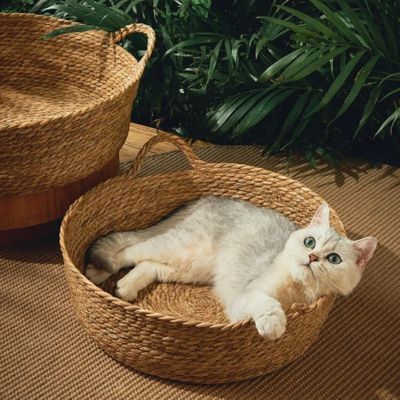 panier-en-osier-pour-chat-joncs