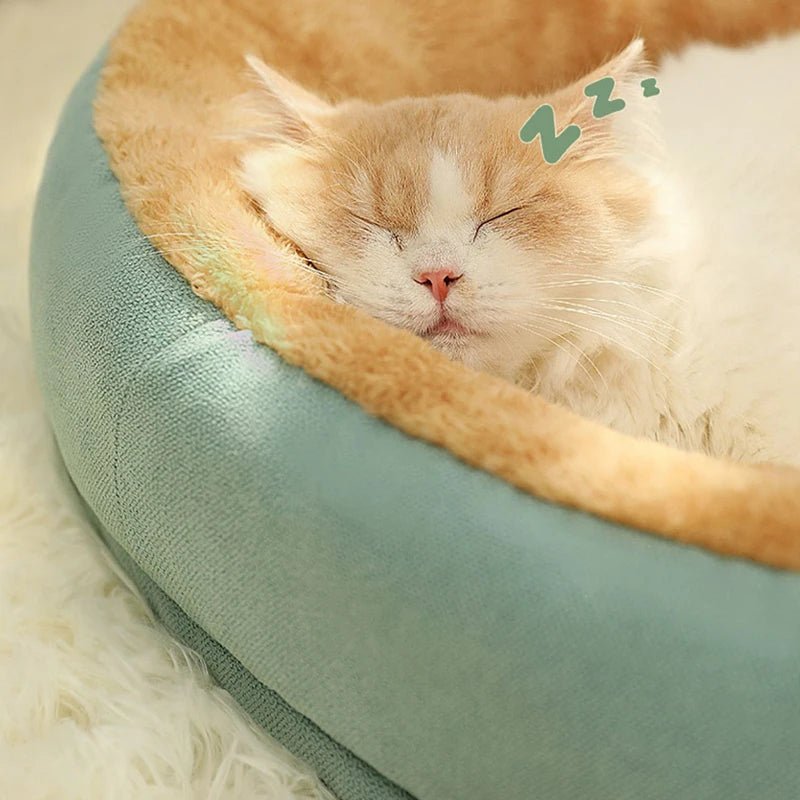 panier-pour-chat-calin