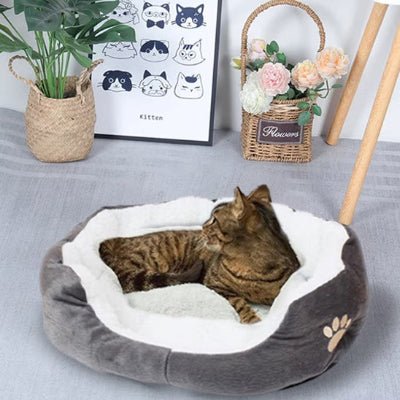 panier-pour-chat-pillow-mignon
