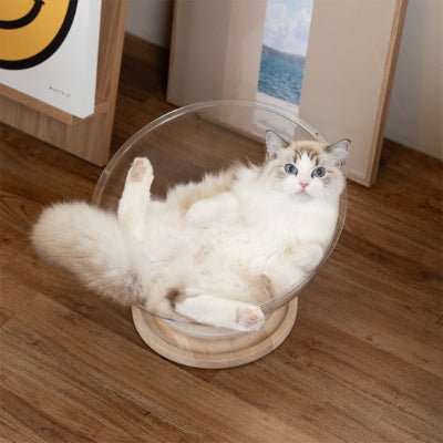 panier-pour-chat-orbicat-mignon