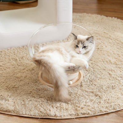 panier-pour-chat-orbicat-agreable