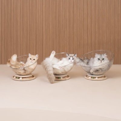panier-pour-chat-orbicat-confortable