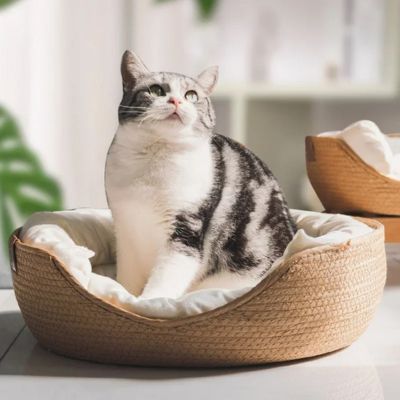 panier-pour-chat-roticat