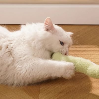 Serpentin peluche chat - format 40 cm facile à attraper