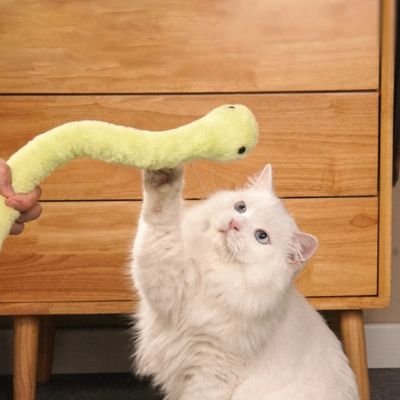 Chat jouant avec serpentin en peluche vert