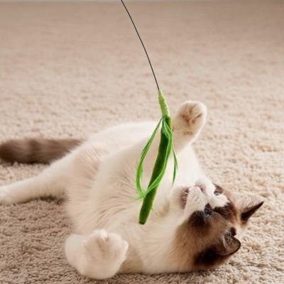 Jouet chat interactif Playful Hunters baguette à plumes 50 cm - Patte à Chat