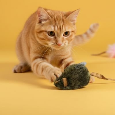 Jouet souris peluche chat - se glisse sous les meubles