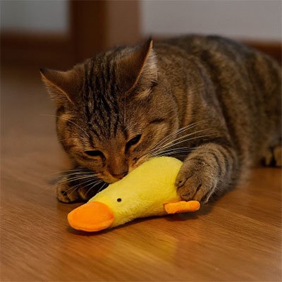 Jouet chat canard en peluche avec herbe à chat et papier crépitant - Patte à Chat