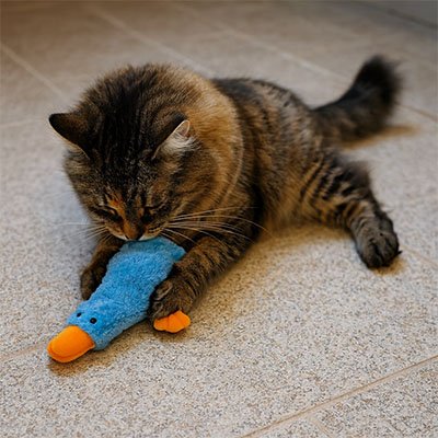 Canard peluche pour chat - rose jaune noir bleu, 12x7 cm