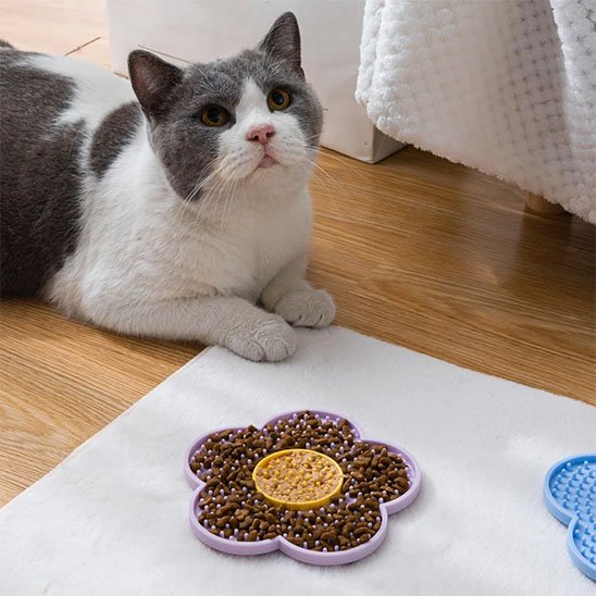 Tapis de Léchage | Félin Gourmand