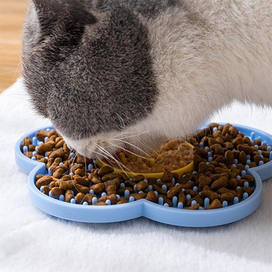 Tapis de Léchage | Félin Gourmand