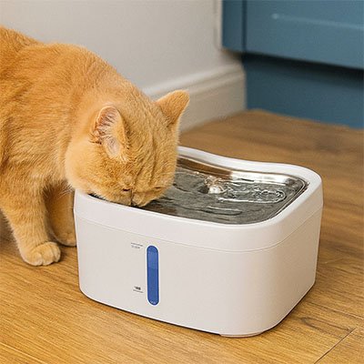 fontaine à eau chat ultra-silencieuse - design premium