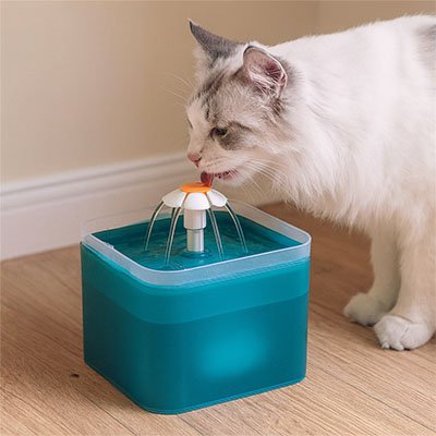 fontaine à eau chat silencieuse - entretien filtre