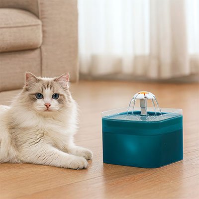 fontaine à eau chat silencieuse - chat qui boit