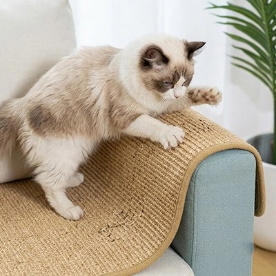 protection canapé chat Griffe Control - installation accoudoir