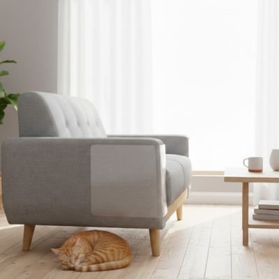 protection canapé chat CoverFlex - installation vinyle