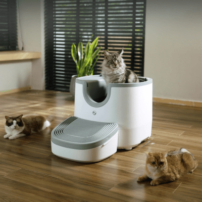 Rampe pour litière chat | AutoClean - Patte à Chat