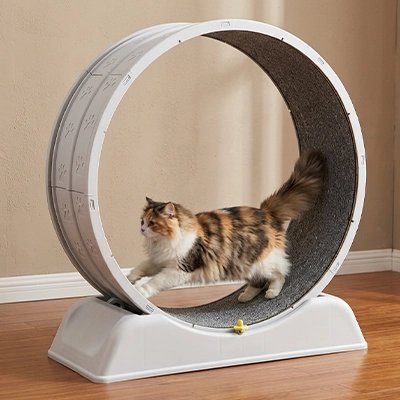 roue-pour-chat-griffoir-amusant