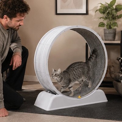roue-pour-chat-griffoir-prestige