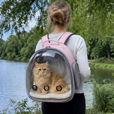 sac de transport pour chat GlobeCat - portage dos